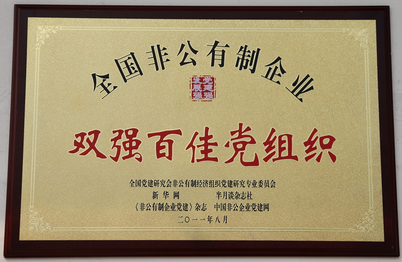 全國(guó)非公企業(yè)“雙強(qiáng)百佳黨組織”（2011）