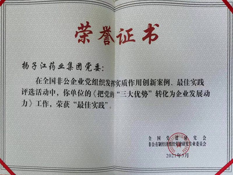 全國(guó)非公企業(yè)黨組織發(fā)揮實(shí)質(zhì)作用最佳實(shí)踐（2021）